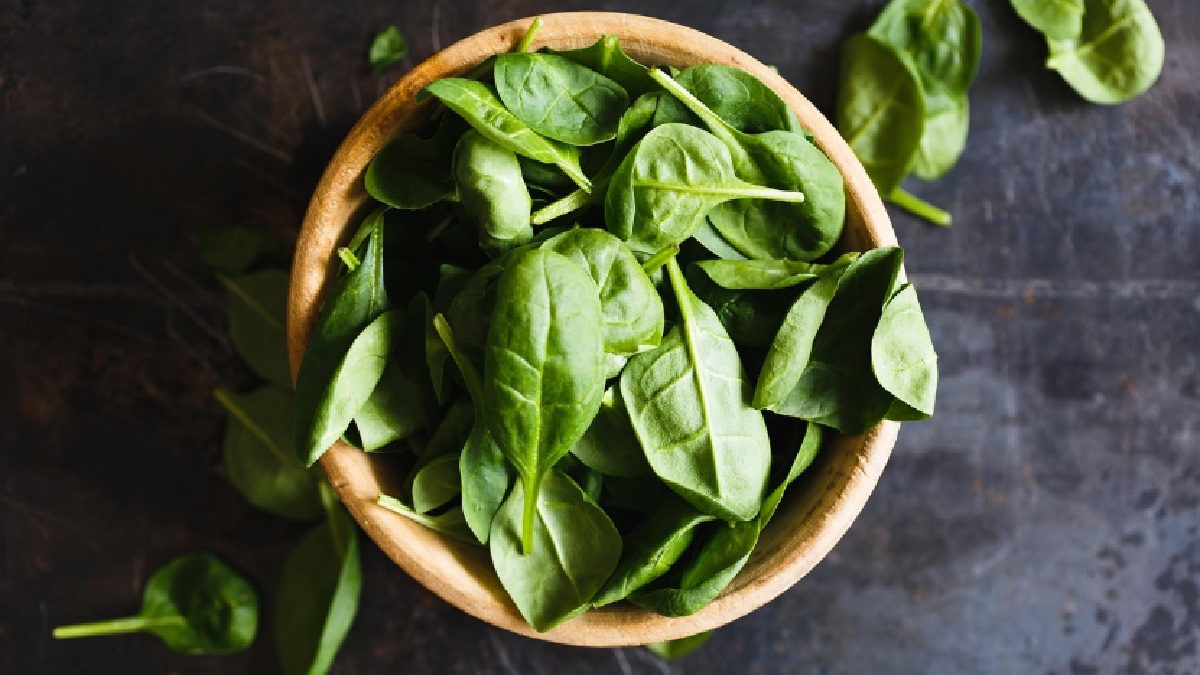 Cómo Afecta la Refrigeración en la Calidad Poscosecha de la Albahaca 'Nufar'.jpg